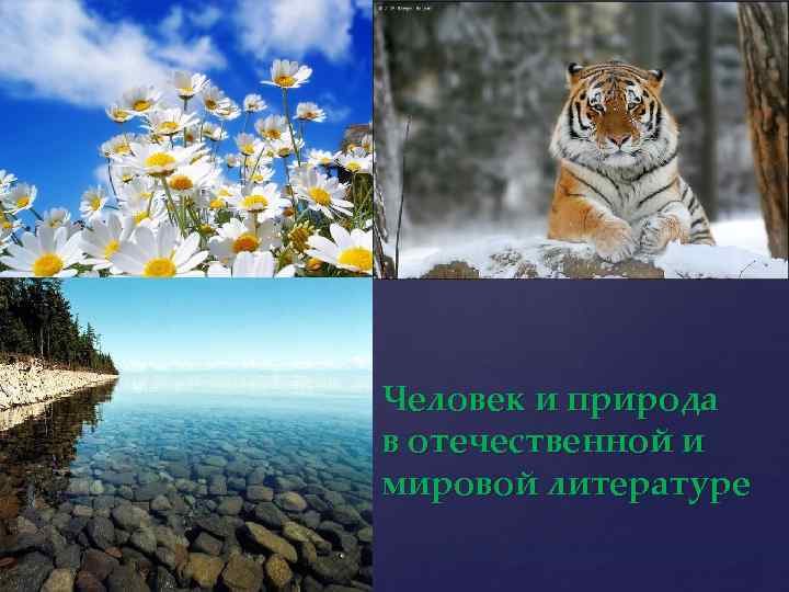 { Человек и природа в отечественной и мировой литературе 