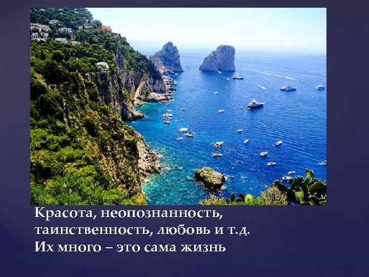 Красота, неопознанность, таинственность, любовь и т. д. Их много – это сама жизнь 