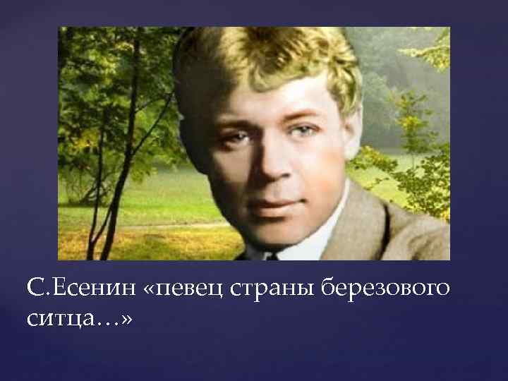 С. Есенин «певец страны березового ситца…» 