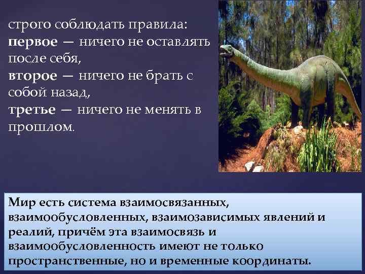 строго соблюдать правила: первое — ничего не оставлять после себя, второе — ничего не