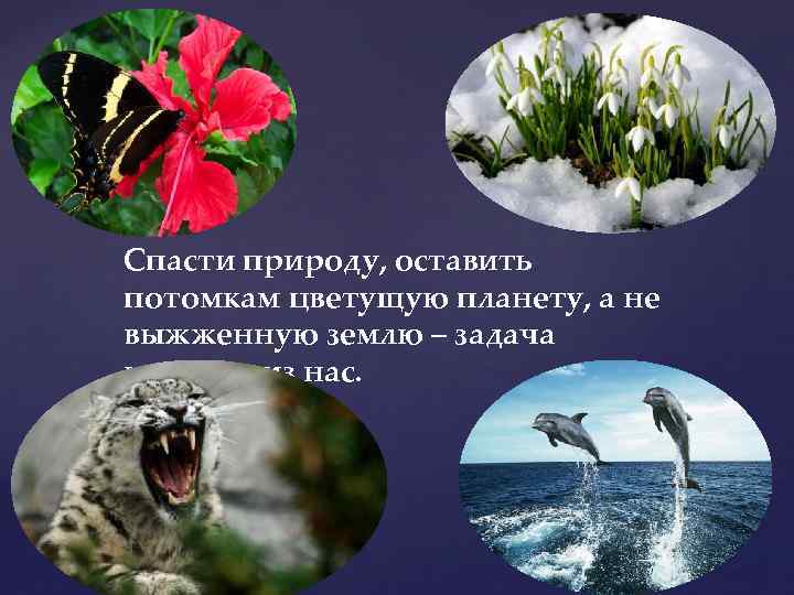 Химия спасает природу презентация 9 класс