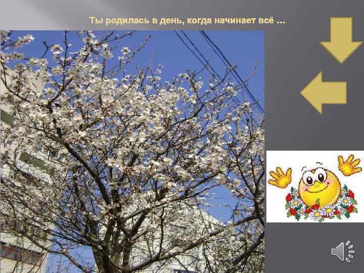 Ты родилась в день, когда начинает всё … 