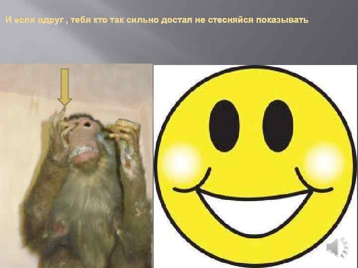 И если вдруг , тебя кто так сильно достал не стесняйся показывать 