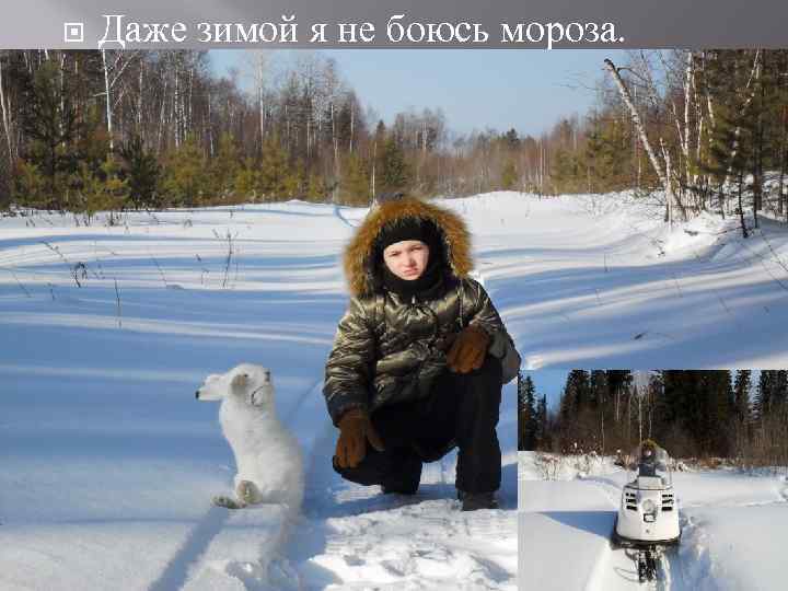  Даже зимой я не боюсь мороза. 