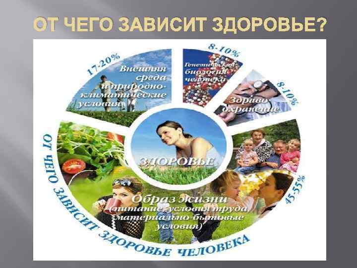 ОТ ЧЕГО ЗАВИСИТ ЗДОРОВЬЕ? 