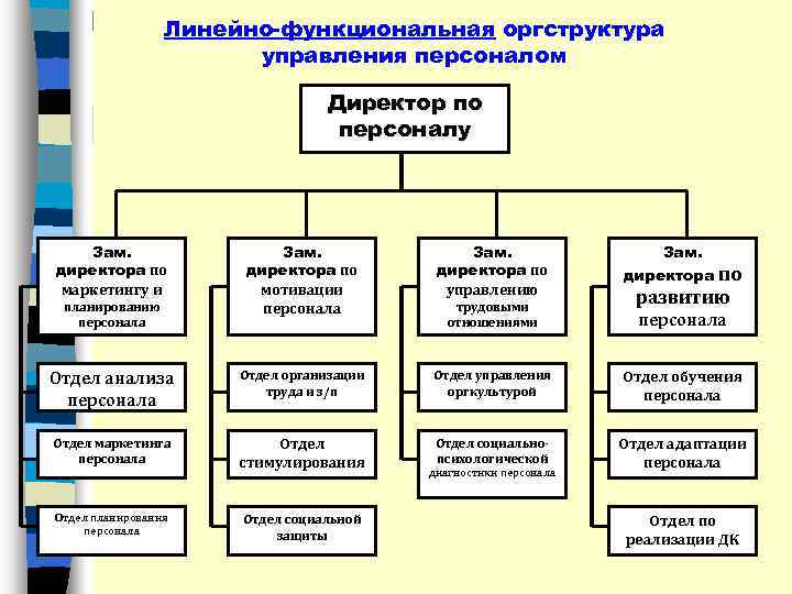 Линейно-функциональная оргструктура управления персоналом Директор по персоналу Зам. директора по маркетингу и Зам. директора