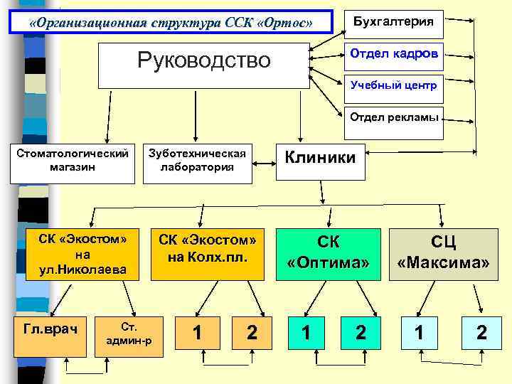  «Организационная структура ССК «Ортос» Бухгалтерия Отдел кадров Руководство Учебный центр Отдел рекламы Стоматологический