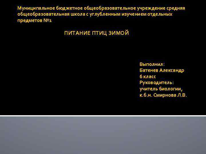 Муниципальное бюджетное общеобразовательное учреждение средняя общеобразовательная школа с углубленным изучением отдельных предметов № 1