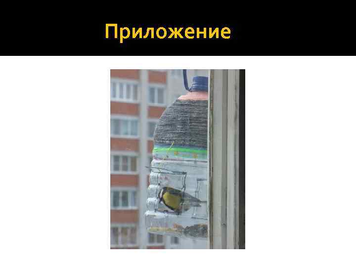  Приложение 