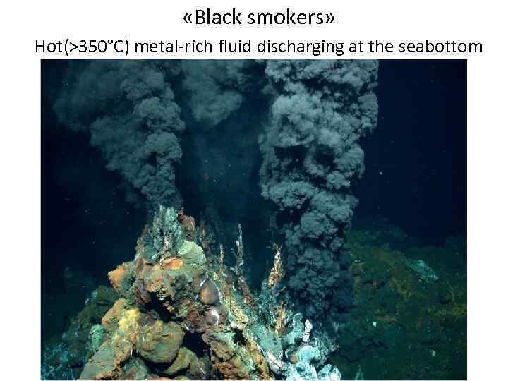  «Black smokers» Hot(>350°C) metal-rich fluid discharging at the seabottom 