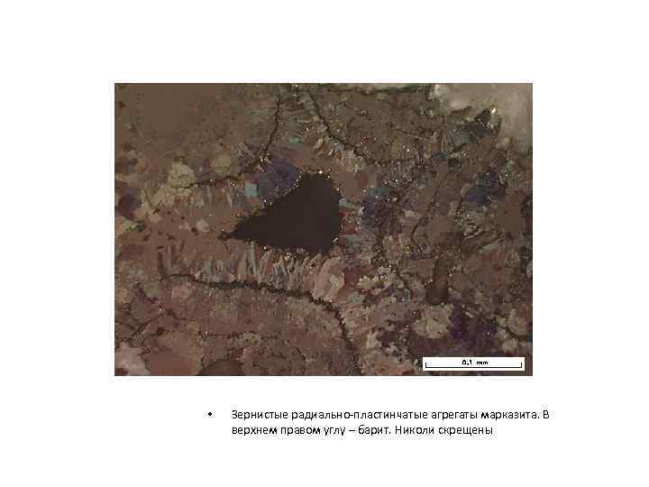  • Зернистые радиально-пластинчатые агрегаты марказита. В верхнем правом углу – барит. Николи скрещены