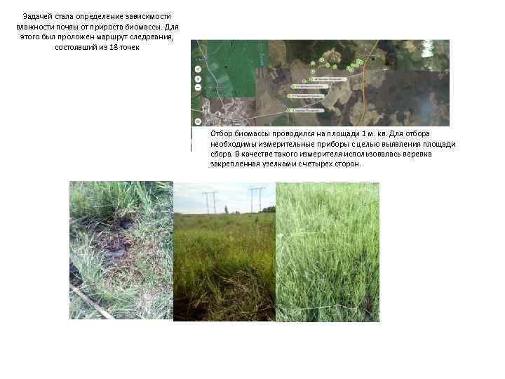 Задачей стала определение зависимости влажности почвы от прироста биомассы. Для этого был проложен маршрут