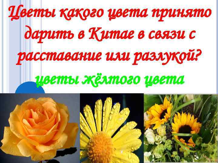 Цветы какого цвета принято дарить в Китае в связи с расставание или разлукой? цветы