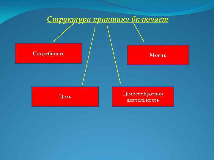 Структура практики включает Потребность Цель Мотив Целесообразная деятельность 