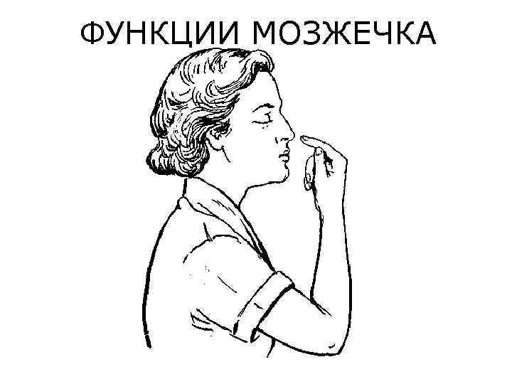 ФУНКЦИИ МОЗЖЕЧКА 