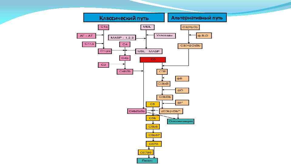 Классический путь Альтернативный путь 