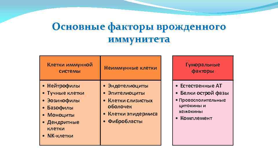 Основные факторы врожденного иммунитета Клетки иммунной системы • • • Нейтрофилы Тучные клетки Эозинофилы