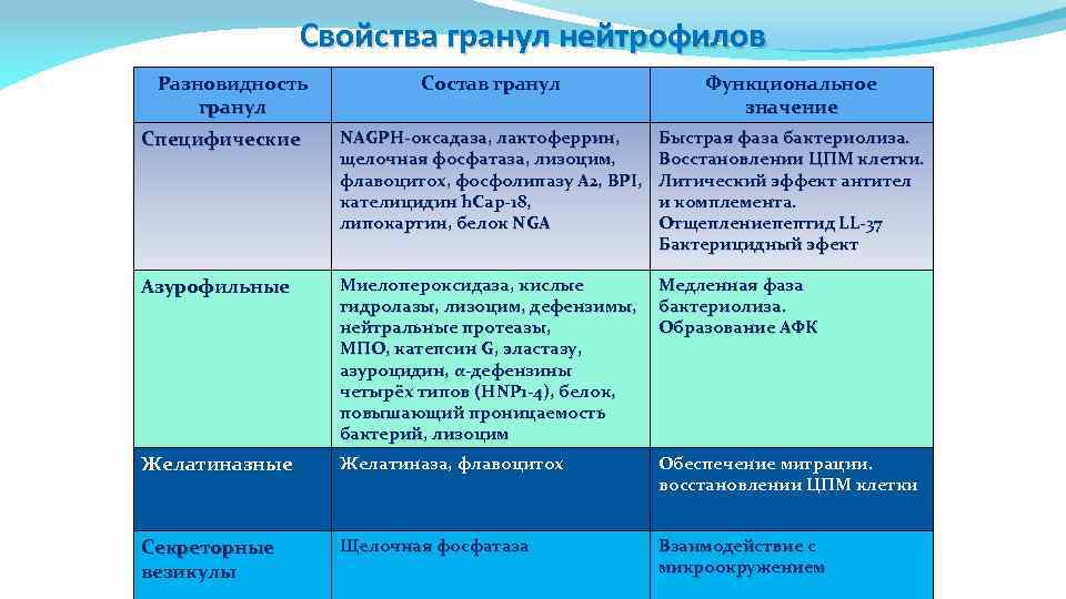 Свойства гранул нейтрофилов Разновидность гранул Состав гранул Функциональное значение Специфические NAGPH-оксадаза, лактоферрин, щелочная фосфатаза,