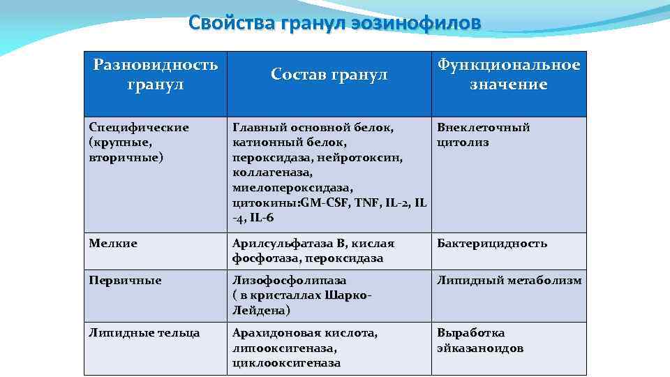 Свойства гранул эозинофилов Разновидность гранул Состав гранул Функциональное значение Специфические (крупные, вторичные) Главный основной