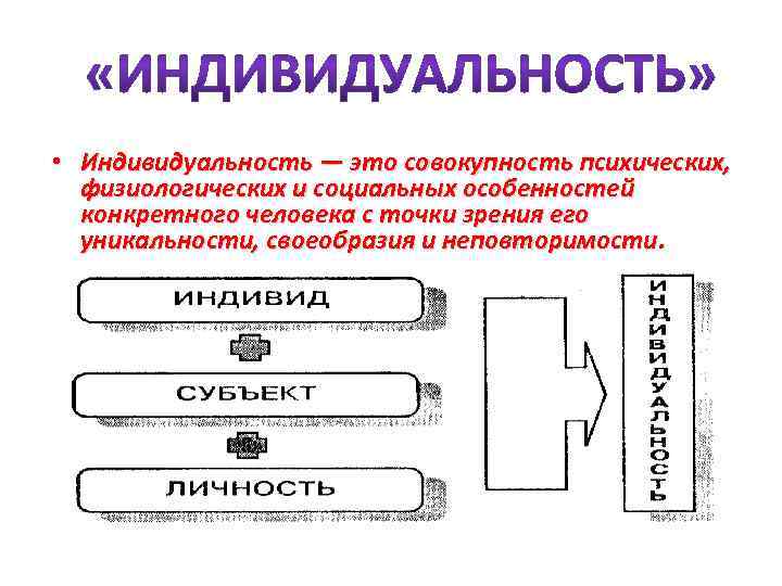  • Индивидуальность — это совокупность психических, физиологических и социальных особенностей конкретного человека с