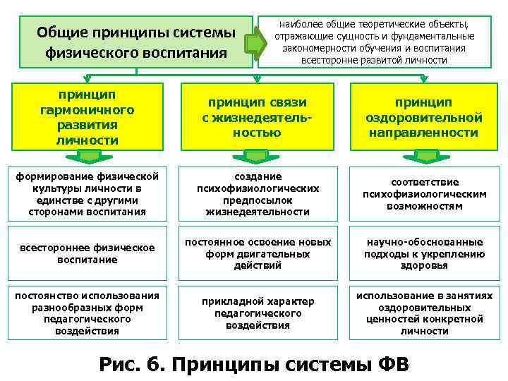 Общие принципы системы физического воспитания наиболее общие теоретические объекты, отражающие сущность и фундаментальные закономерности