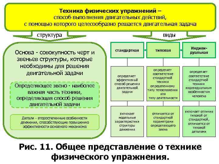 Основные разновидности планов в сфере физической культуры и спорта общая характеристика