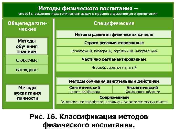 Подходы и концепции воспитания. Классификация методов физического воспитания. Методы обучения в физическом воспитании. Методы физкультурного образования. Методы воспитания в физической культуре.