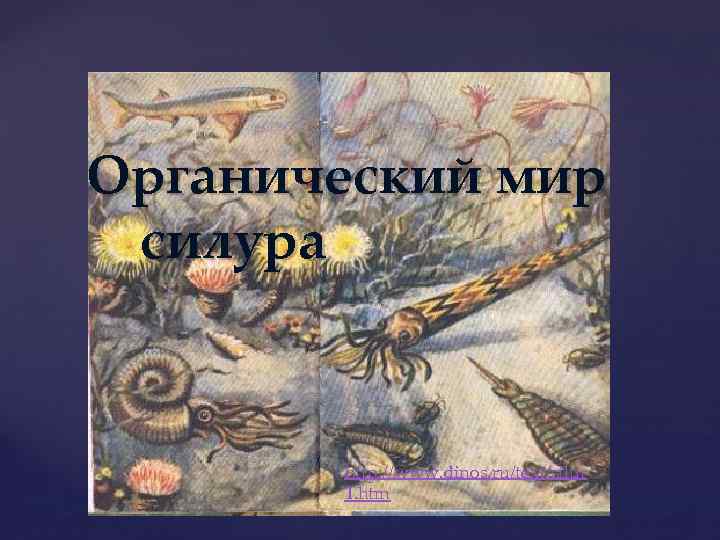 Органический мир силура http: //www. dinos. ru/text/silur 1. htm 