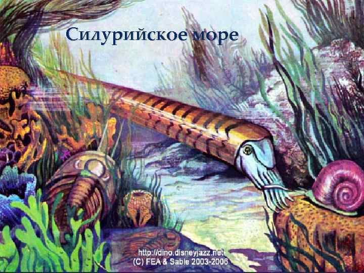 Силурийское море 