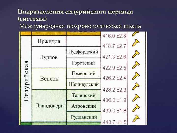 Подразделения силурийского периода (системы) Международная геохронологическая шкала 