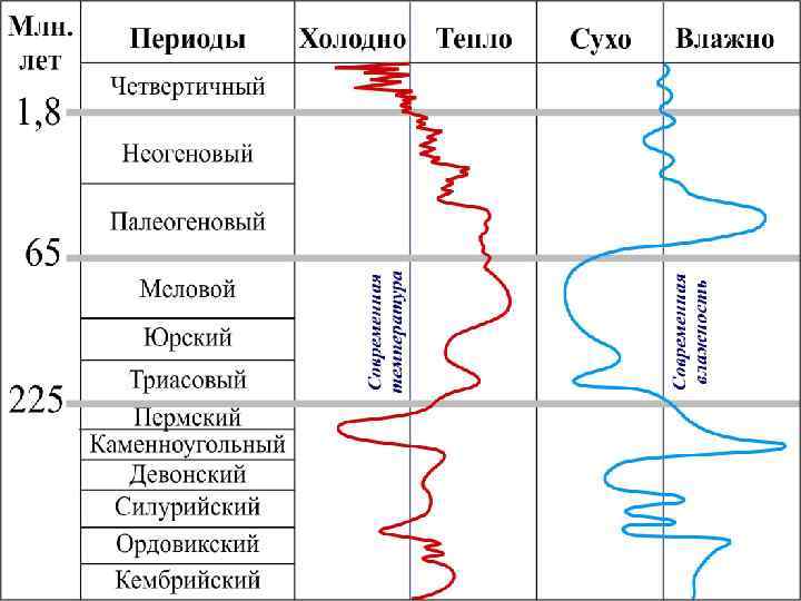 Увеличение площади суши привело к изменению климата. Господствовавший в ордовикевлажный климат к концу силура