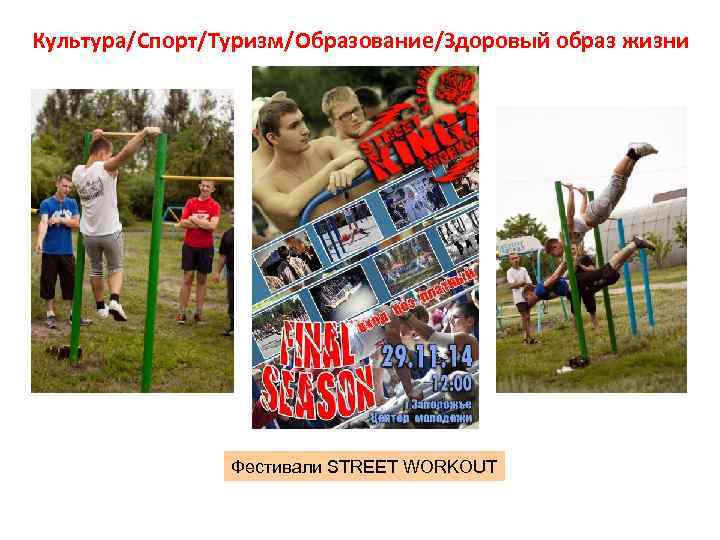 Культура/Спорт/Туризм/Образование/Здоровый образ жизни Фестивали STREET WORKOUT 