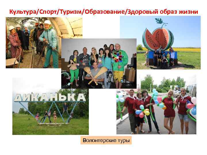 Культура/Спорт/Туризм/Образование/Здоровый образ жизни Волонтерские туры 