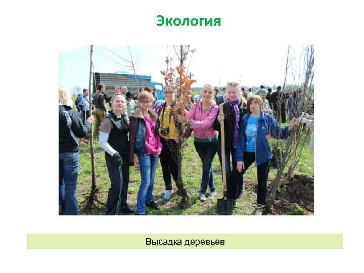 Экология Высадка деревьев 