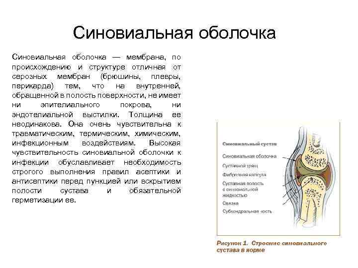 Синовиальная оболочка — мембрана, по происхождению и структуре отличная от серозных мембран (брюшины, плевры,