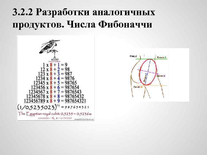 3. 2. 2 Разработки аналогичных продуктов. Числа Фибоначчи 