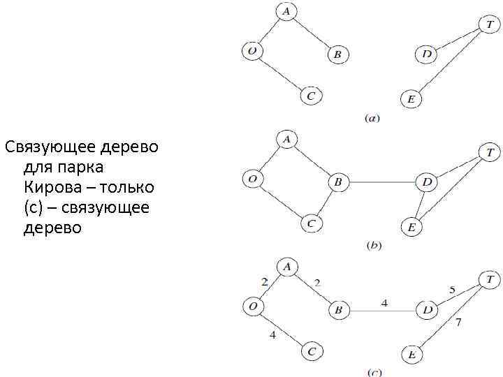 Связующее дерево для парка Кирова – только (с) – связующее дерево 