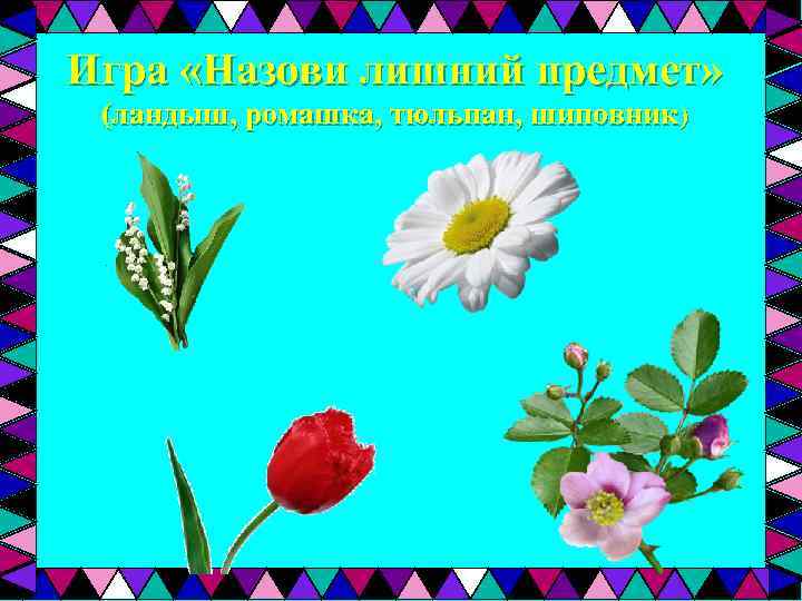 Игра «Назови лишний предмет» (ландыш, ромашка, тюльпан, шиповник) 