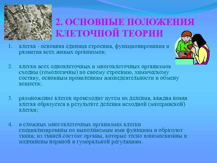 2. ОСНОВНЫЕ ПОЛОЖЕНИЯ КЛЕТОЧНОЙ ТЕОРИИ 1. клетка - основная единица строения, функционирования и развития