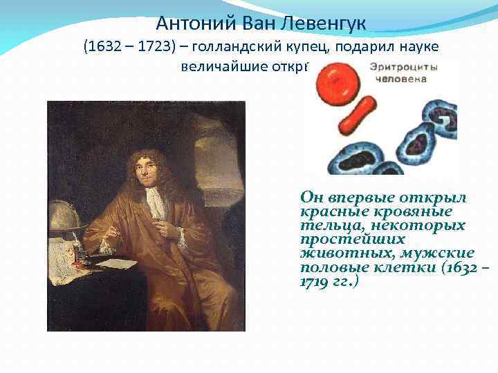 Антоний Ван Левенгук (1632 – 1723) – голландский купец, подарил науке величайшие открытия. Он