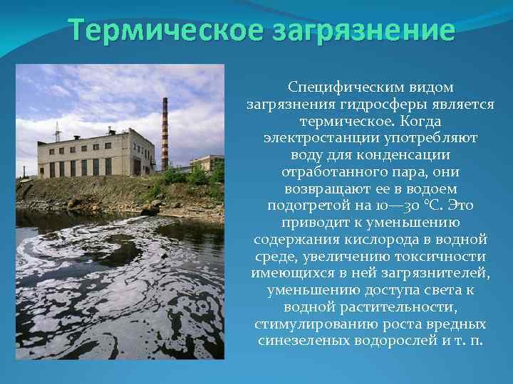 Термическое загрязнение Специфическим видом загрязнения гидросферы является термическое. Когда электростанции употребляют воду для конденсации