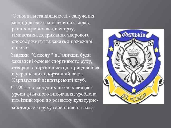  Основна мета діяльності - залучення молоді до загальнофізичних вправ, різних ігрових видів спорту,