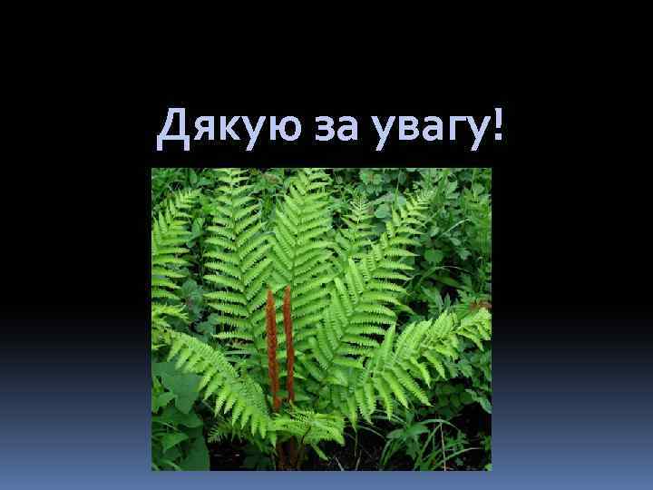 Дякую за увагу! 