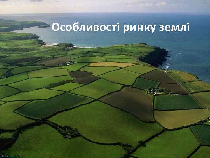 Особливості ринку землі 