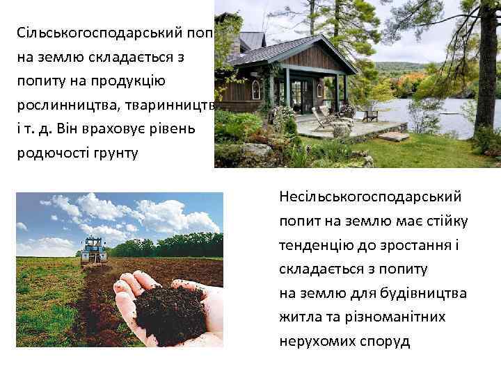 Сільськогосподарський попит на землю складається з попиту на продукцію рослинництва, тваринництва і т. д.