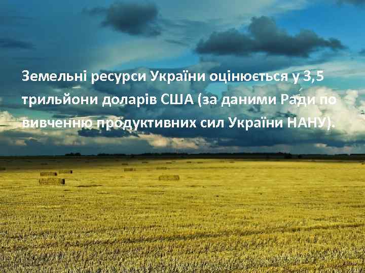 Земельні ресурси України оцінюється у 3, 5 трильйони доларів США (за даними Ради по