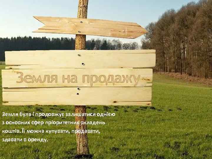 Земля була і продовжує залишатися однією з основних сфер пріоритетних вкладень коштів. Її можна