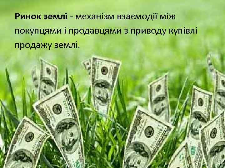 Ринок землі - механізм взаємодії між покупцями і продавцями з приводу купівлі продажу землі.