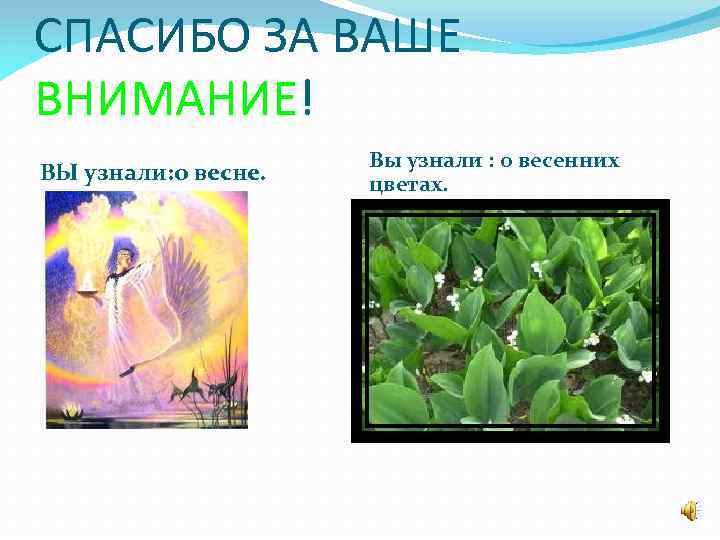 СПАСИБО ЗА ВАШЕ ВНИМАНИЕ! ВЫ узнали: о весне. Вы узнали : о весенних цветах.