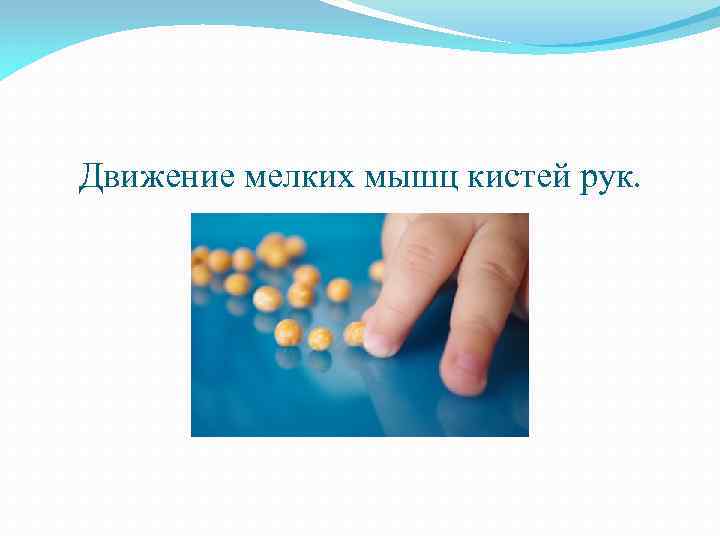 Движение мелких мышц кистей рук. 